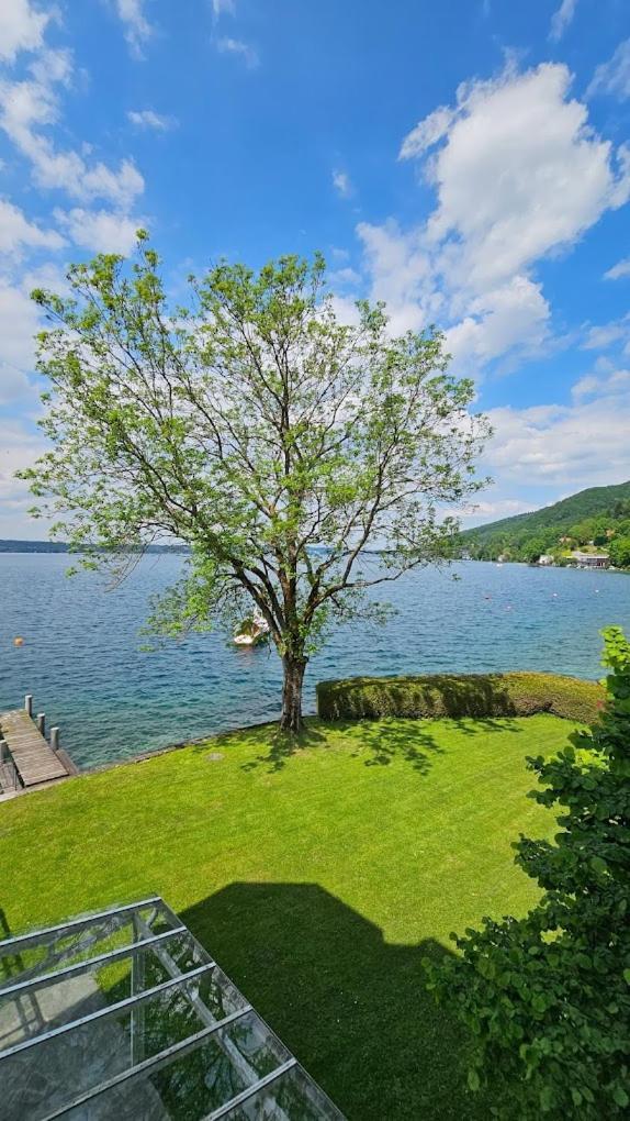 Gasthof Mit Seeterasse & Appartements Zur Landeroith Weyregg Kültér fotó